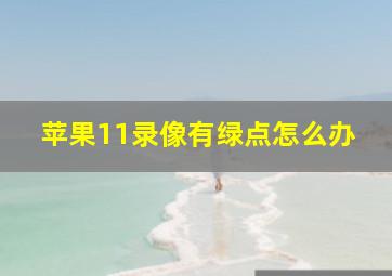 苹果11录像有绿点怎么办