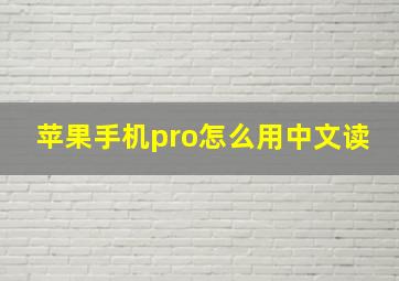 苹果手机pro怎么用中文读