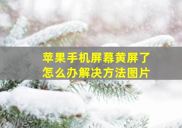 苹果手机屏幕黄屏了怎么办解决方法图片