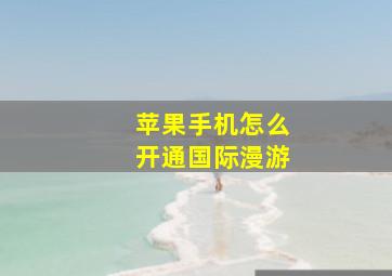 苹果手机怎么开通国际漫游