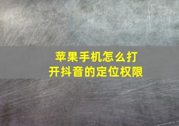 苹果手机怎么打开抖音的定位权限