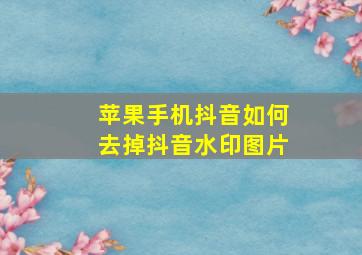 苹果手机抖音如何去掉抖音水印图片