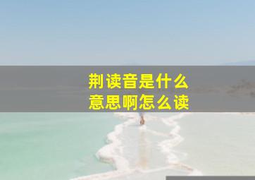 荆读音是什么意思啊怎么读