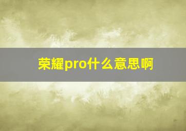 荣耀pro什么意思啊