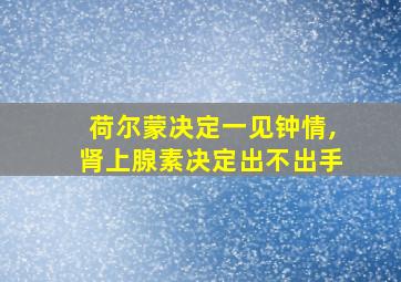 荷尔蒙决定一见钟情,肾上腺素决定出不出手