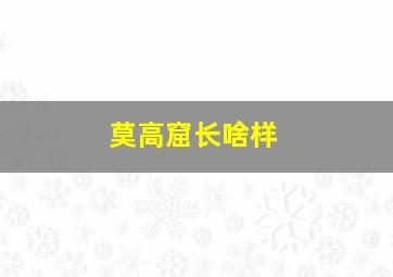 莫高窟长啥样