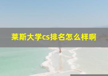 莱斯大学cs排名怎么样啊