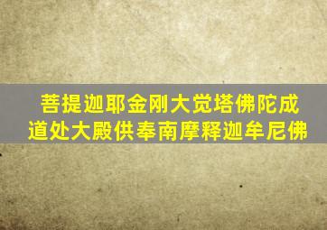 菩提迦耶金刚大觉塔佛陀成道处大殿供奉南摩释迦牟尼佛