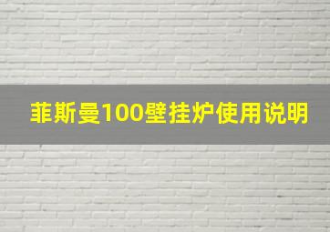 菲斯曼100壁挂炉使用说明