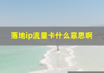 落地ip流量卡什么意思啊