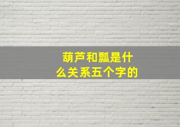 葫芦和瓢是什么关系五个字的