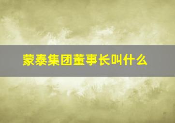 蒙泰集团董事长叫什么