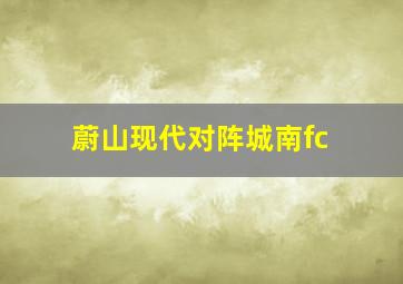 蔚山现代对阵城南fc