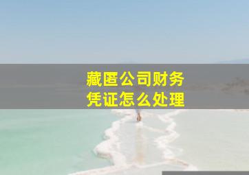 藏匿公司财务凭证怎么处理