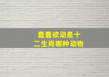 蠢蠢欲动是十二生肖哪种动物