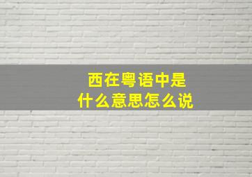 西在粤语中是什么意思怎么说