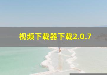 视频下载器下载2.0.7