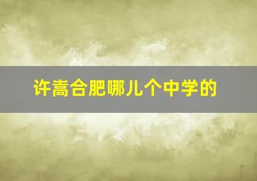 许嵩合肥哪儿个中学的