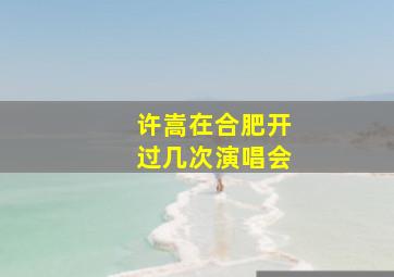 许嵩在合肥开过几次演唱会