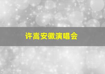 许嵩安徽演唱会