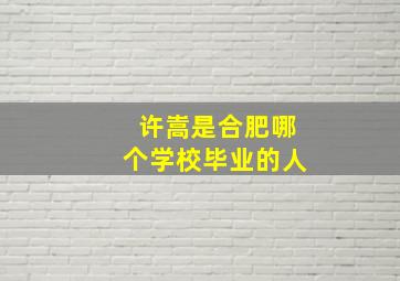 许嵩是合肥哪个学校毕业的人