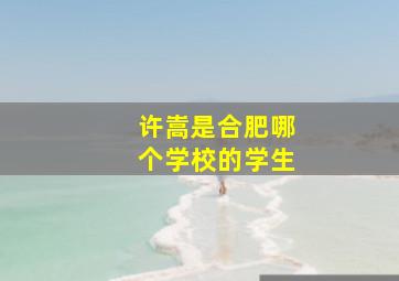 许嵩是合肥哪个学校的学生