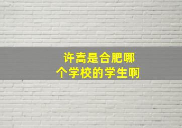 许嵩是合肥哪个学校的学生啊