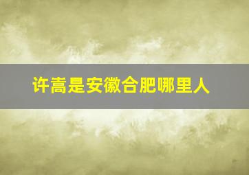 许嵩是安徽合肥哪里人