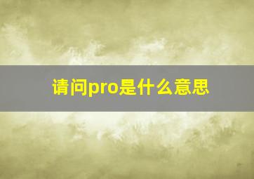 请问pro是什么意思