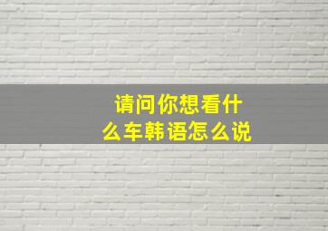 请问你想看什么车韩语怎么说