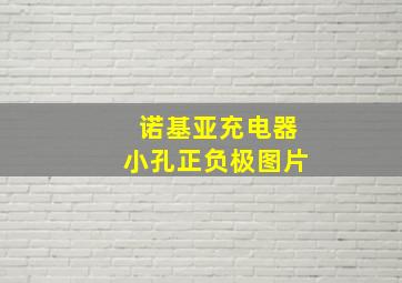 诺基亚充电器小孔正负极图片