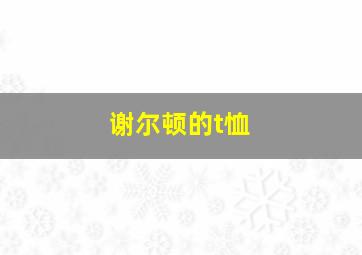 谢尔顿的t恤