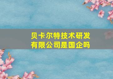 贝卡尔特技术研发有限公司是国企吗