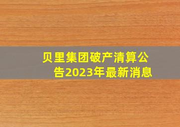 贝里集团破产清算公告2023年最新消息