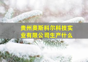 贵州奥斯科尔科技实业有限公司生产什么