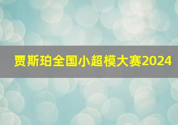 贾斯珀全国小超模大赛2024