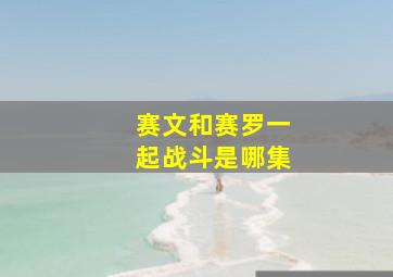 赛文和赛罗一起战斗是哪集