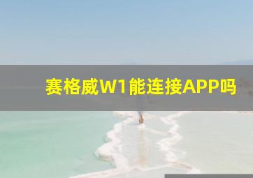 赛格威W1能连接APP吗