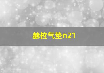 赫拉气垫n21