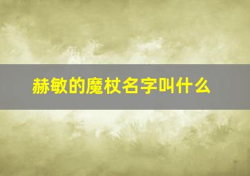 赫敏的魔杖名字叫什么