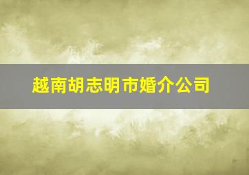 越南胡志明市婚介公司