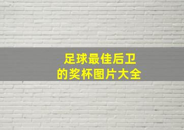 足球最佳后卫的奖杯图片大全