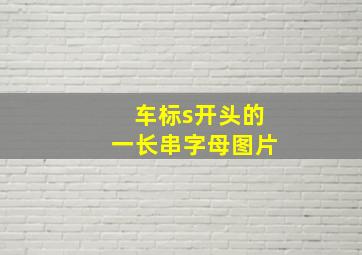 车标s开头的一长串字母图片