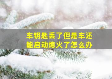 车钥匙丢了但是车还能启动熄火了怎么办