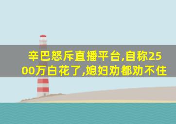 辛巴怒斥直播平台,自称2500万白花了,媳妇劝都劝不住