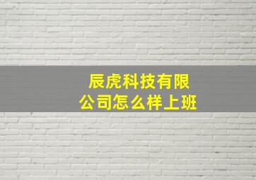 辰虎科技有限公司怎么样上班