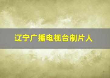 辽宁广播电视台制片人