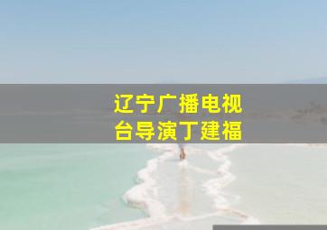 辽宁广播电视台导演丁建福