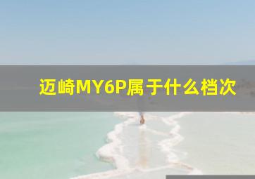 迈崎MY6P属于什么档次