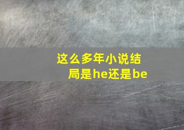 这么多年小说结局是he还是be